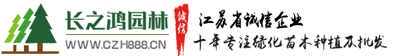 苗木價格-苗木批發-沭陽苗木基地-沭陽花木-長之鴻園林苗木場